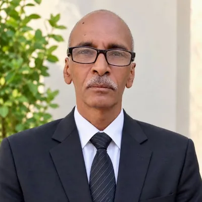 Chief Civil Engineer Salah